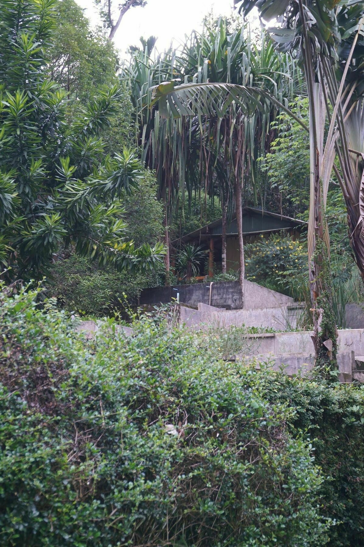 Smallville Resort Ranong Eksteriør bilde